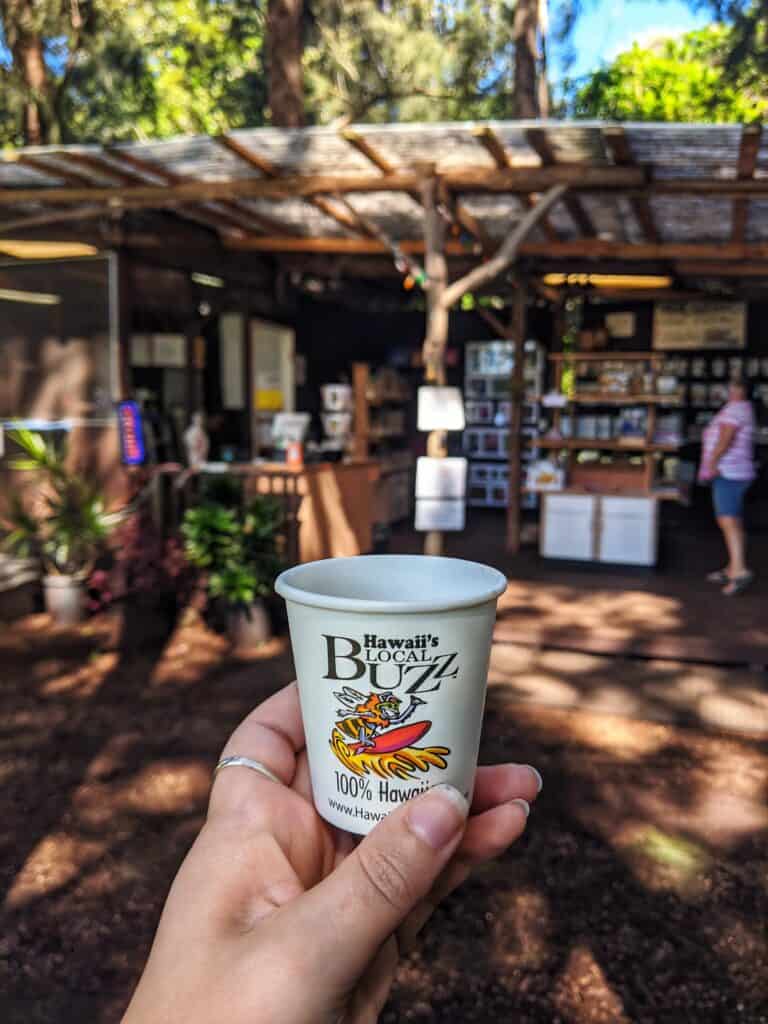 my hand holding a cup of Coffee sample at Paradise Meadows