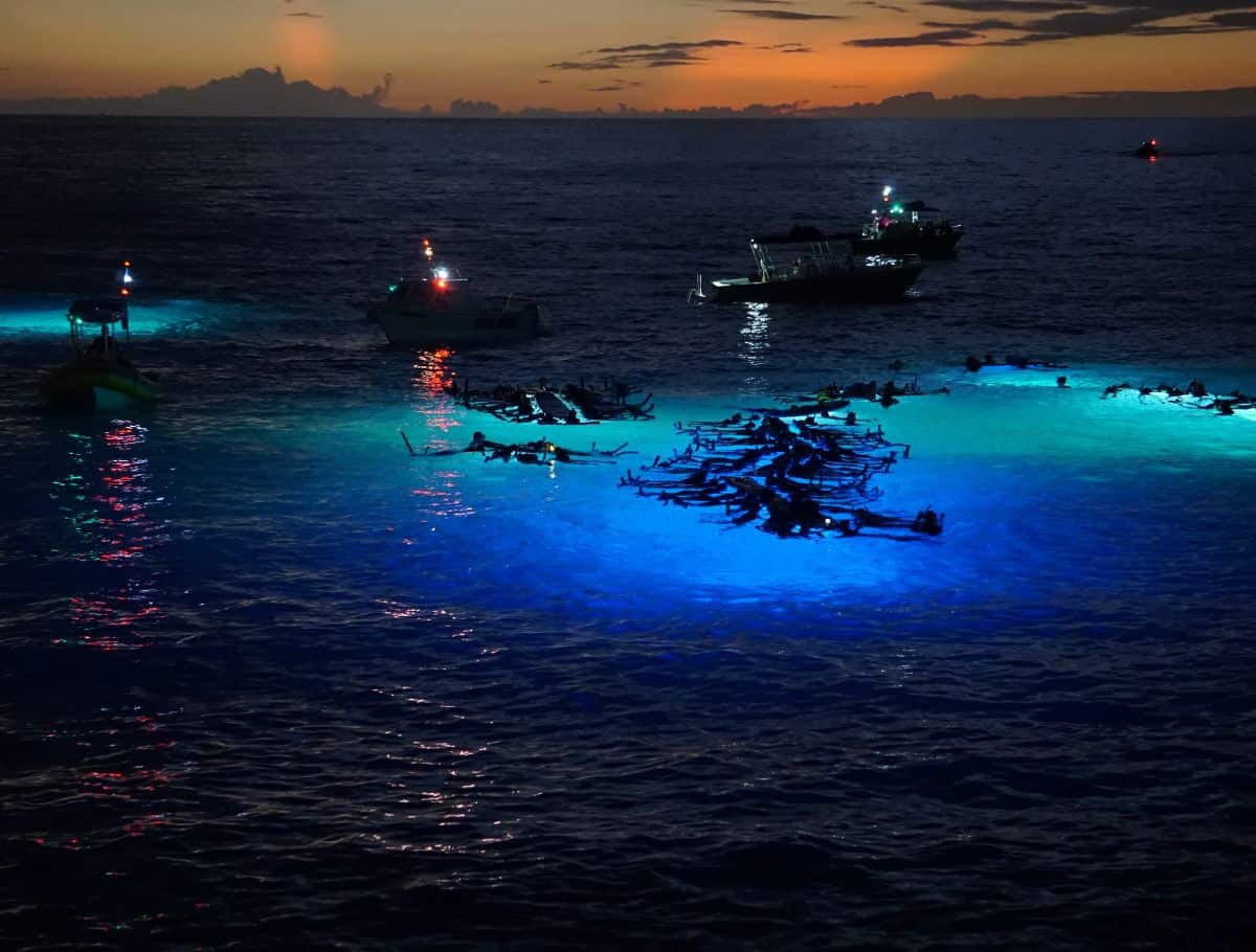 boats with snorkelers floating in dark waters with lights in waters at sunset