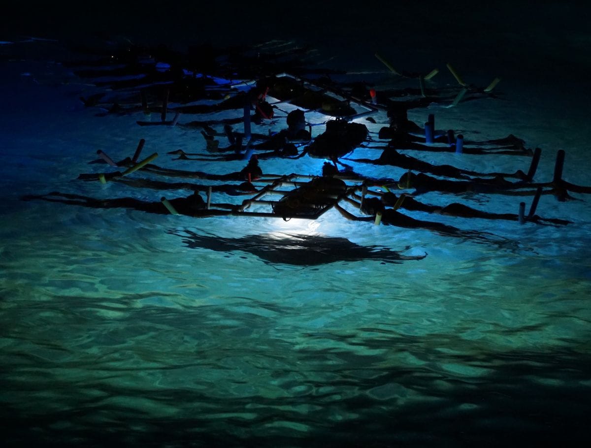 manta ray night snorklers in water with lights shining in water