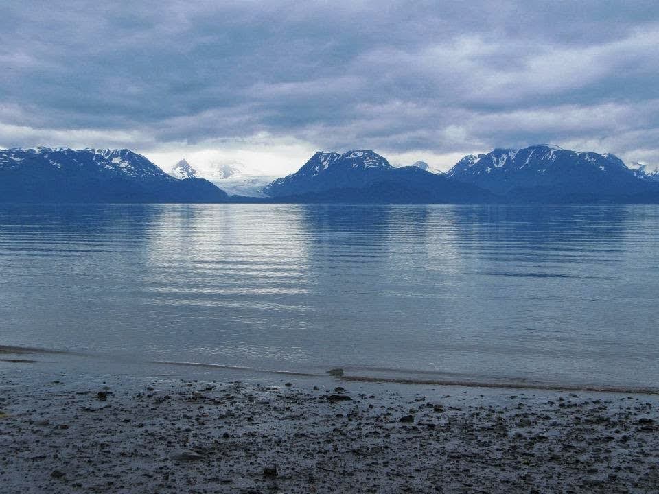 view of bay and glacier