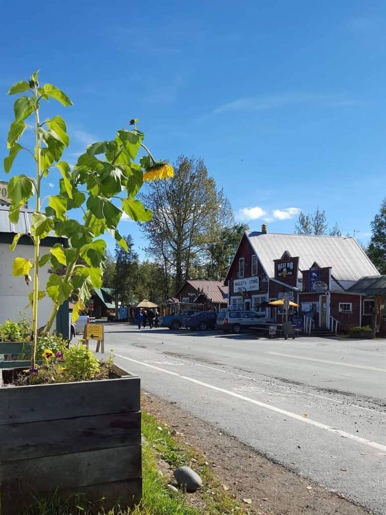 sunny day in downtown talkeetna