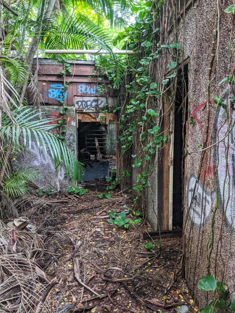 colorful graffited walls at abandoned resort