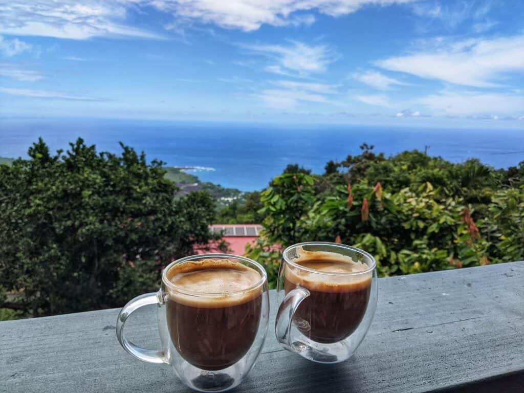 view of kealakekua bay while sipping kona coffee at sacred grounds coffee farm