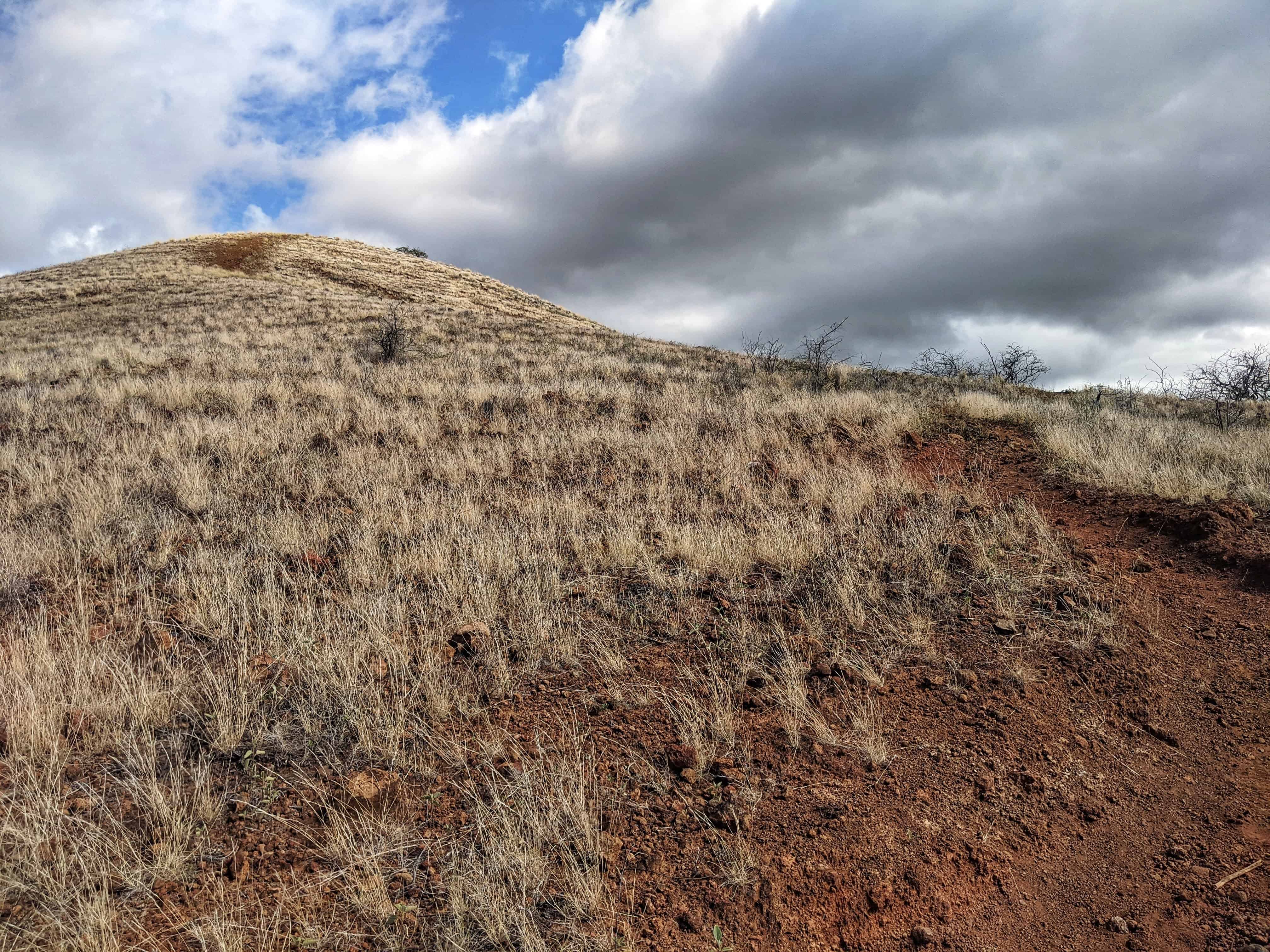 steep red gravel trail up pu'u ku'ili at kua bay beach