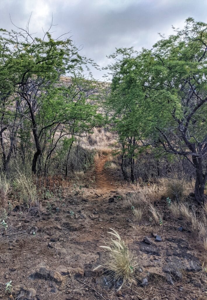 red gravel trailhead for pu'u ku'ili at kua bay beach