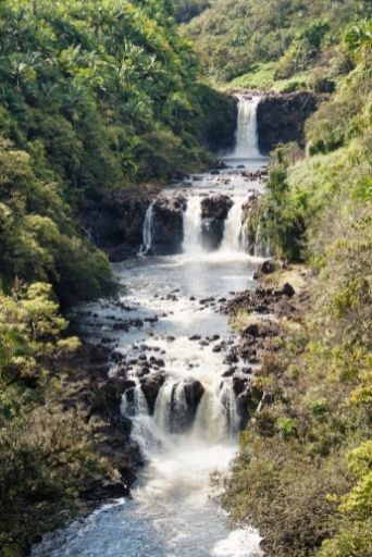 umauma falls one of the big island waterfalls to visit