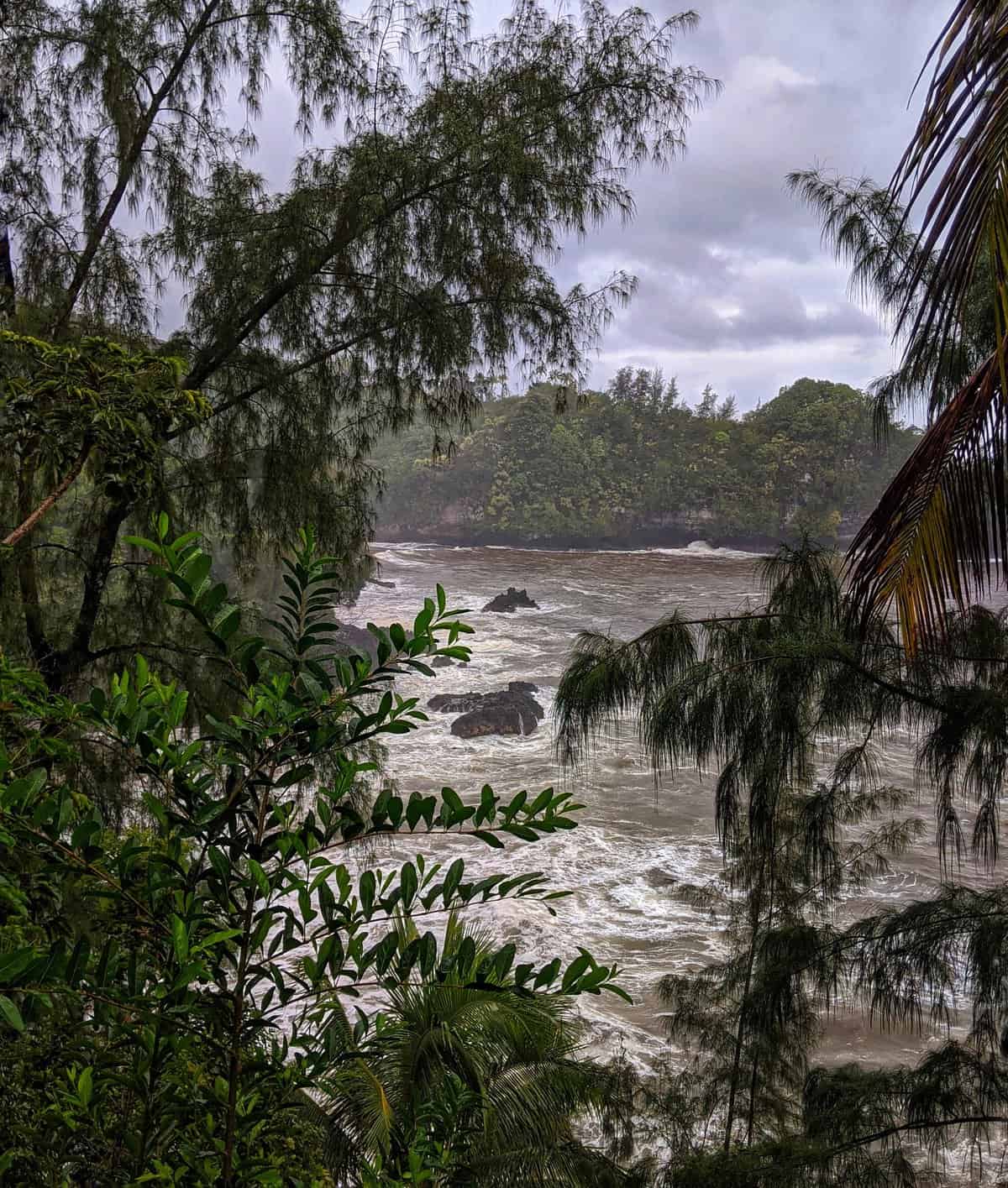 Gloomy sky over Onomea Bay, framed by dark silhouettes of trees, capturing the rugged coastline and moody atmosphere of Hawaii's landscape.