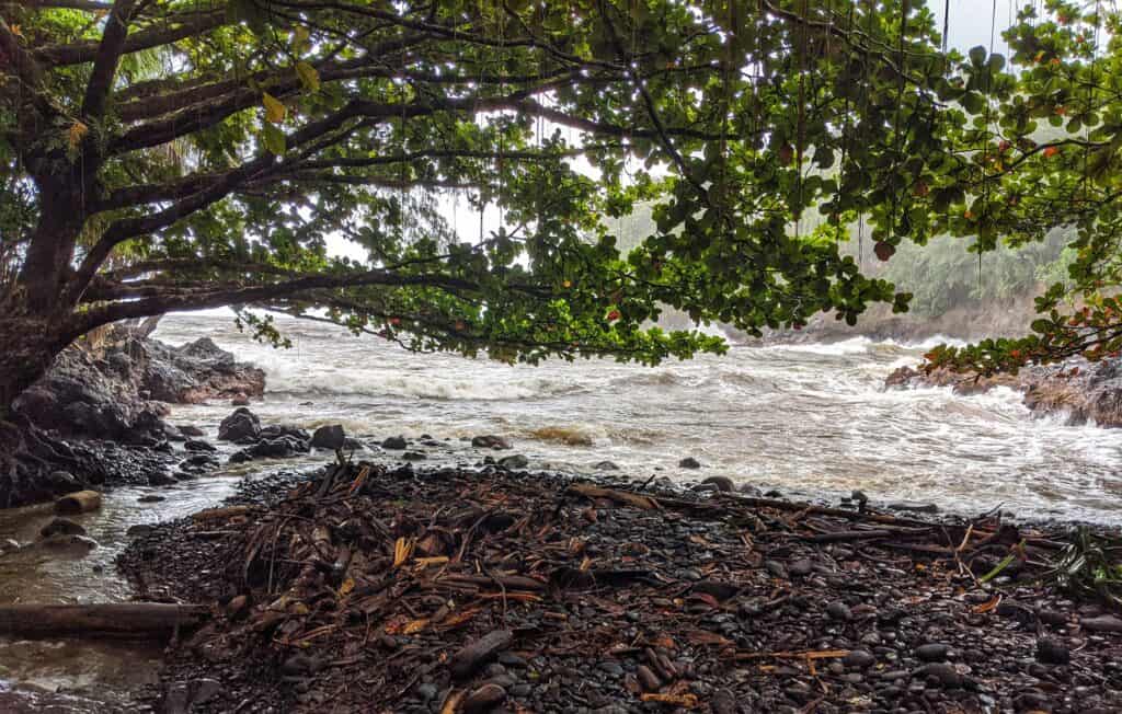 Rocky shoreline of Pepe'ekeo viewed through a natural archway of tree branches, with turbulent waters reflecting a cloudy sky.