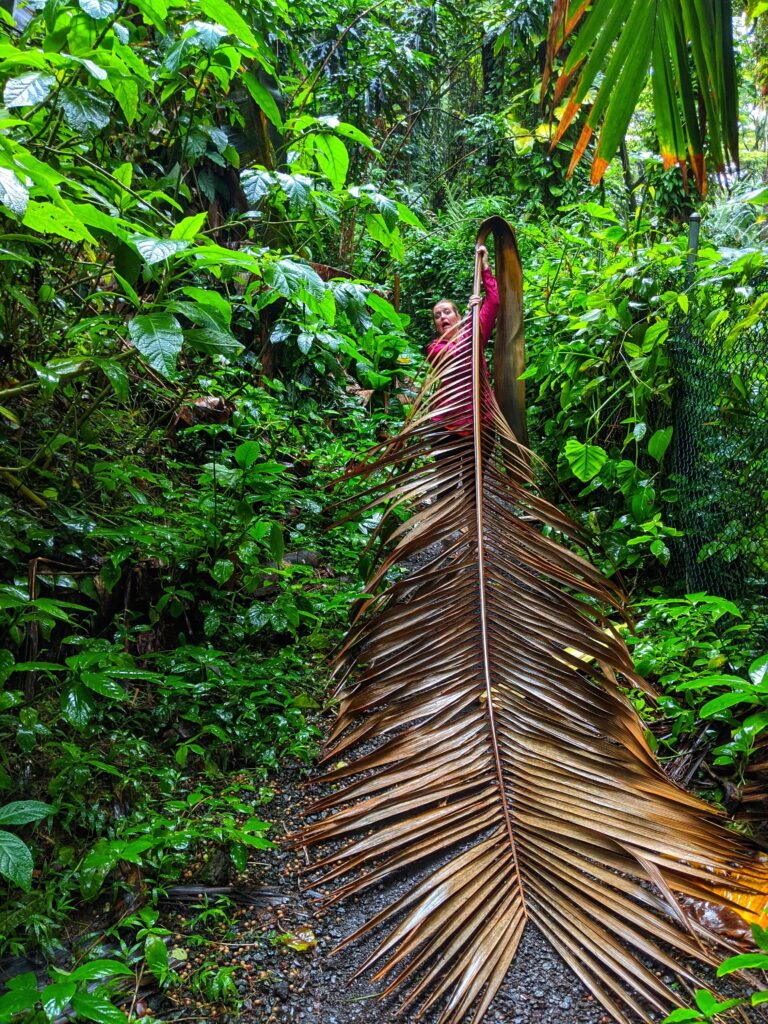 me holding a giant palm leave on the onomea trail off the pepeekeo scenic drive