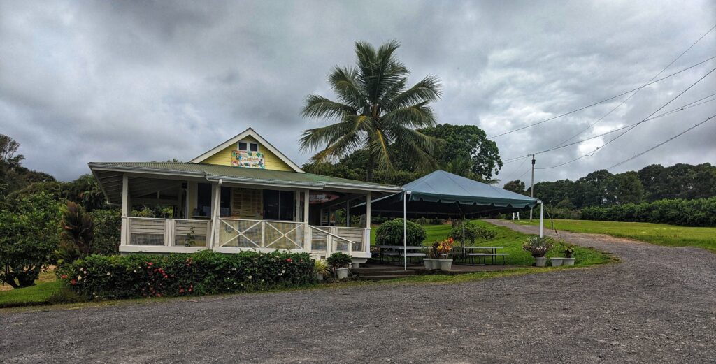whats shakin building with a wide porch and green roof, set against a backdrop of a grassy field and palm trees under a cloudy sky.
