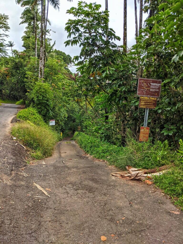 onomea trails trailhead trail flanked by dense greenery, leading adventurers toward hidden scenic viewpoints that offer breathtaking vistas of Hawaii's natural splendor