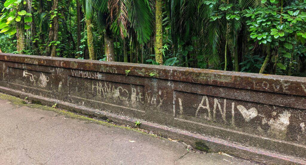 moss graffiti on a bridge over hanawi stream is what you will drive over on the pepeekeo scenic drive