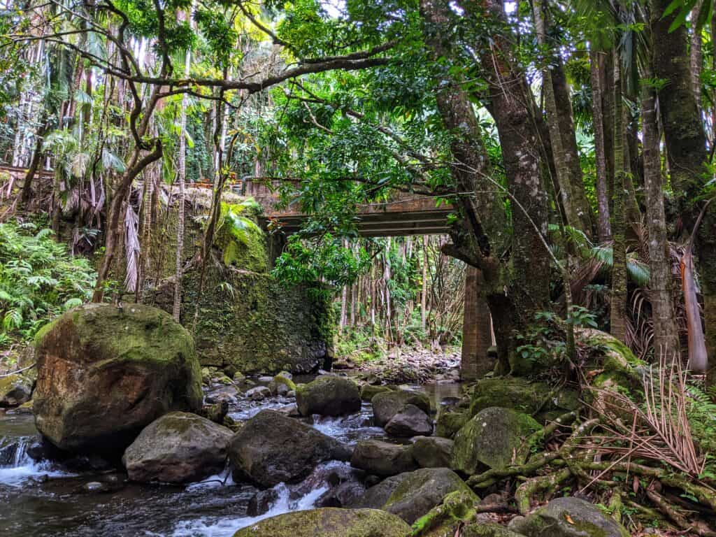 Rustic single-lane bridge on Old Mamalahoa Highway, framed by lush vegetation and running waters, symbolizing the historic and natural beauty encountered along Pepe'ekeo Scenic Drive."
