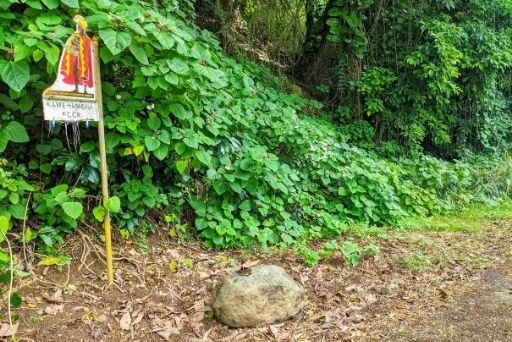 kamehameha rock with sign on the side of the road