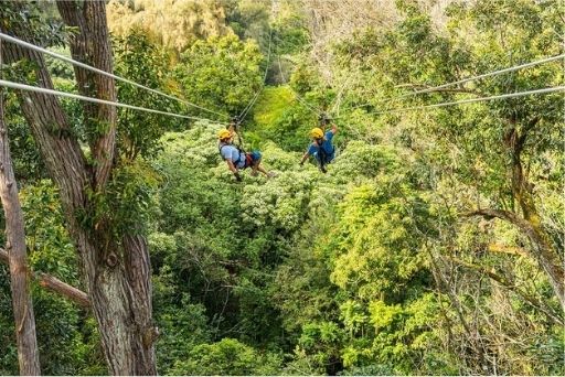 people enjoying ziplining over a forest on kohala zipline tour in hawi