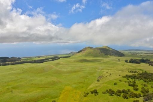 pu'u rises in field on the kohala mountain road while finding things to do hawi