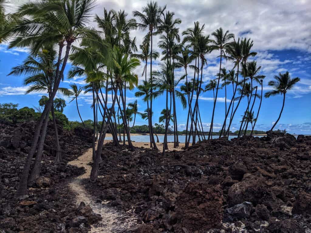bay view from lava field coming back from makalawena beach