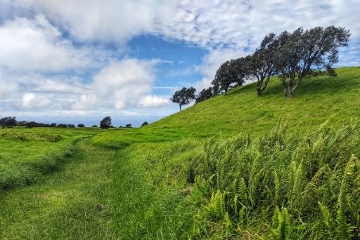 grassy pu'u trail at the kahuku unit