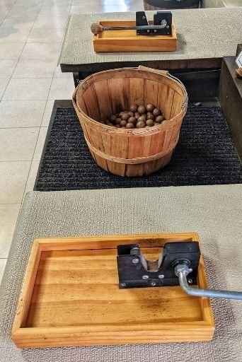 at hamakua crack open your own macadamia nut big island