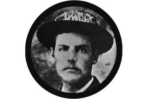 william herbert purvis, the first person to bringmacadamia nut big island