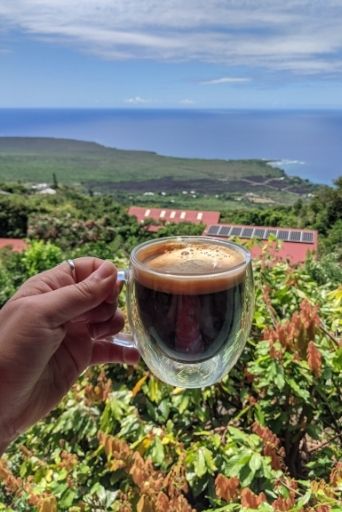 the best of things to do in captain cook hawaii is get a cup of coffee from sacred grounds coffee farm with a view of kealakekua bay