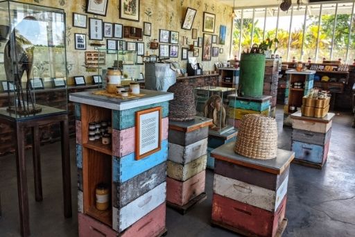 big island bees offers honey tours and tastings at their gift shop, a sweet things to do in captain cook hawaii