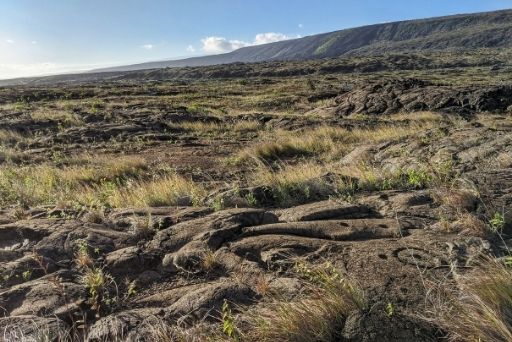 a beautiful view of petroglyphs big island at pu'u loa in hawaii volcanoes national park