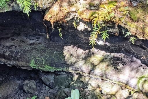 lava tube with petroglyphs big island
