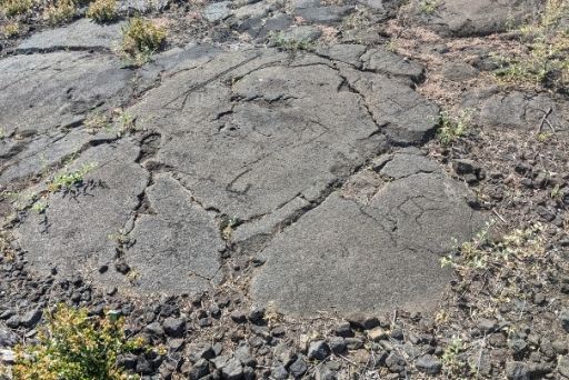 a rifle petroglyphs big island