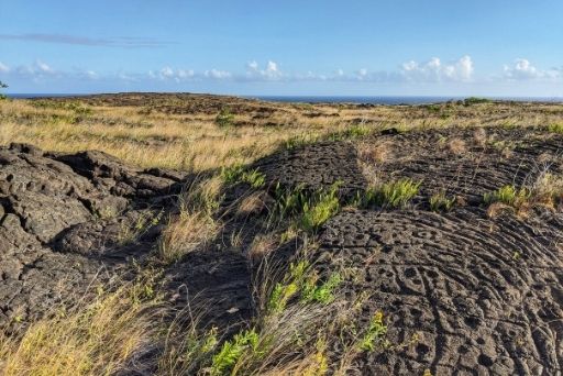 pu'u loa petroglyph field, a petroglyphs big island stop