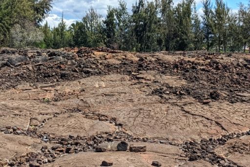 lava field in waikoloa with petroglyphs big island