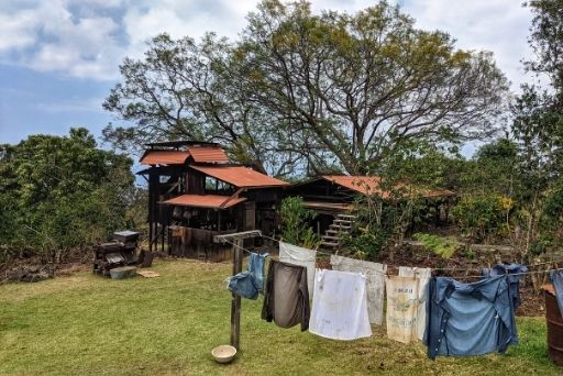 kona coffee living museum is a unique things to do in captain cook hawaii