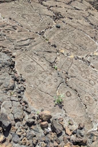 waikoloa petroglyphs big island has many designs for viewing