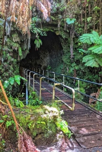 bridge entrance to thurston lava tube,