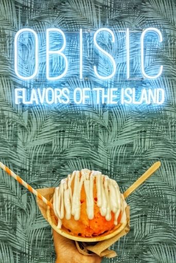 instaworthy wall at obisic for best shave ice big island