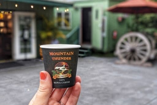 my hand holding mountain thunder coffee plantation free sample