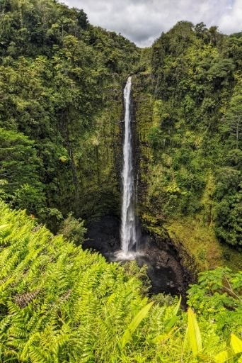 akaka falls is the tallest waterfall you'll see on a Big Island 7 Day Itinerary