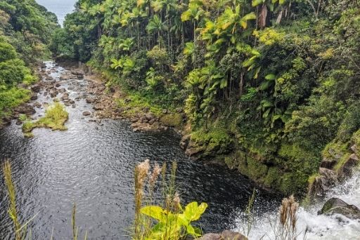 view from the top of the secret waterfall looking down on the river below