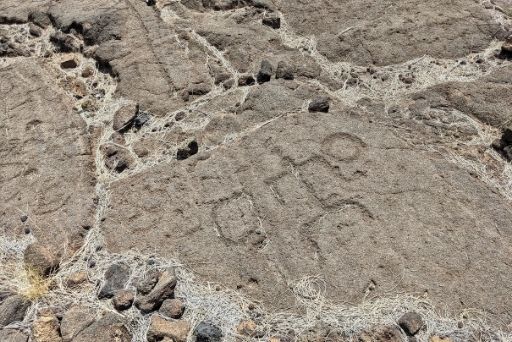 waikoloa petroglyph carvings