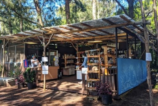 paradise meadows shack under trees filled with with goods