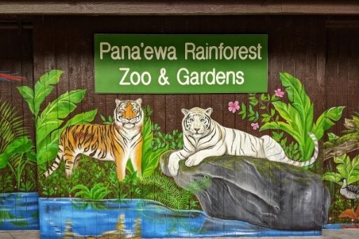 panaewa rainforest zoo mural of two tigers