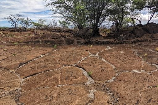 Puako Petroglyph field