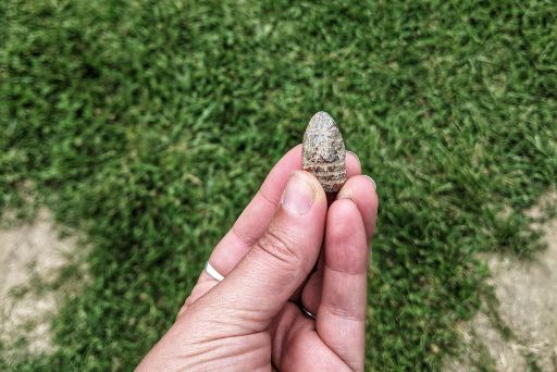 real lead bullet found from the battle of vicksburg was gifted to me at civil war reenactment yakima
