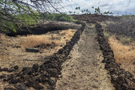 Desert-like trail with lava rocks bordering the path and palm trees in background