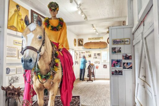 alii wahine horesrider museum