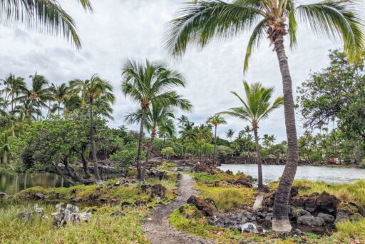 ancient hawaiina fishponds