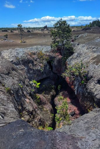 fissure in hvnp