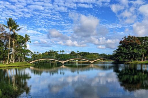 hilo bridges park