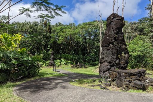 lava mold park in puna