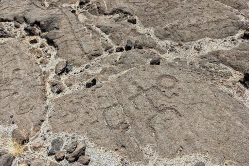 petroglyphs in waikoloa